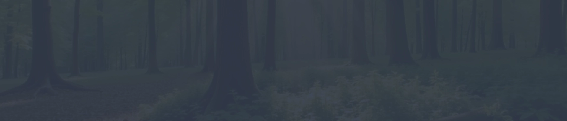 Calming forest banner for mental health website